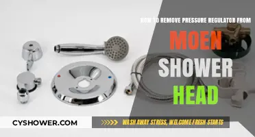 Easy Steps to Remove Pressure Regulator from Moen Shower Head