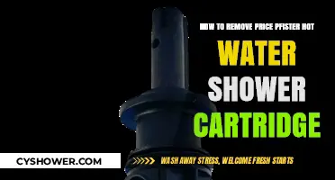 Easy Steps to Remove Price Pfister Hot Water Shower Cartridge