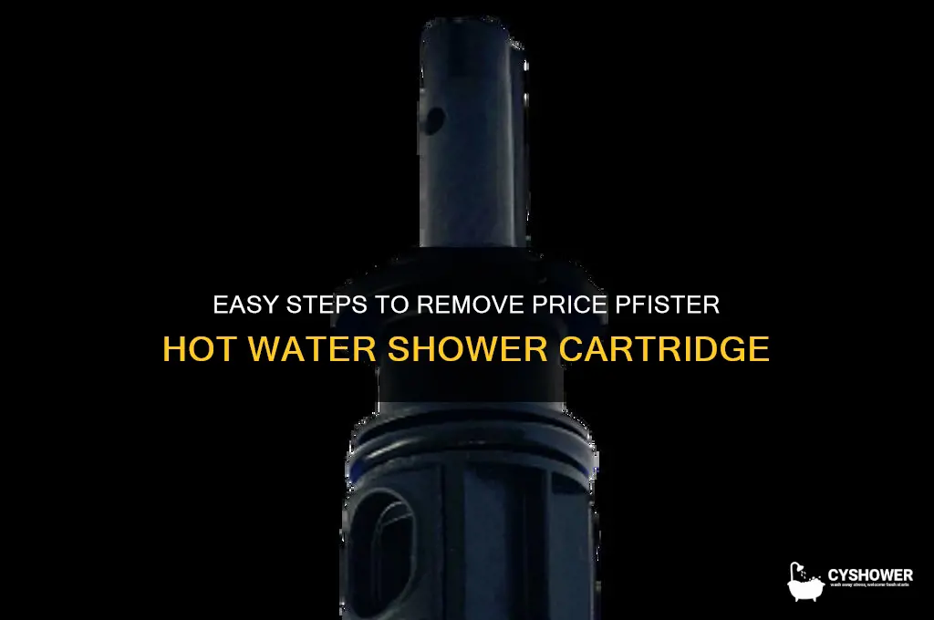 how to remove price pfister hot water shower cartridge