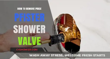 Easy Steps to Remove Your Price Pfister Shower Valve