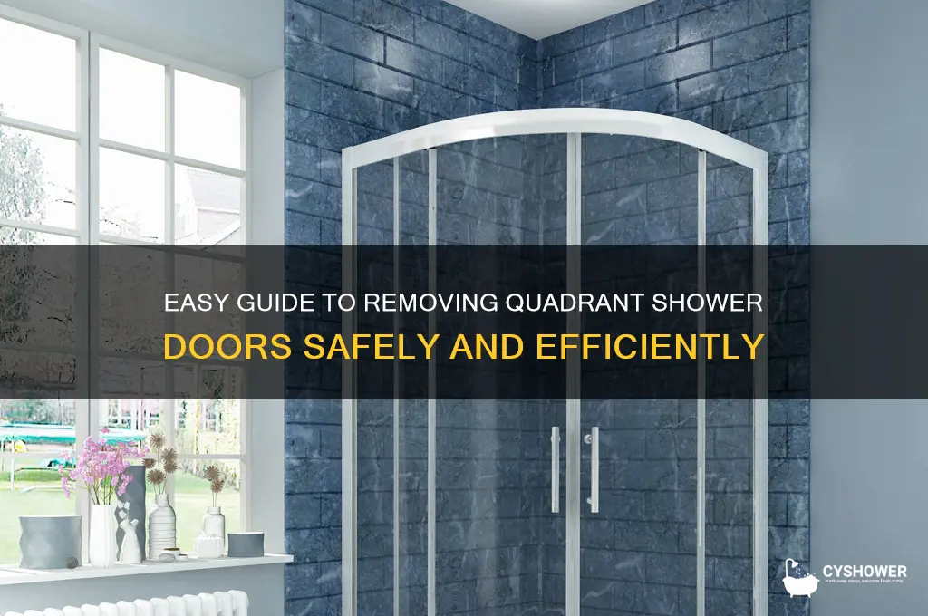 how to remove quadrant shower doors