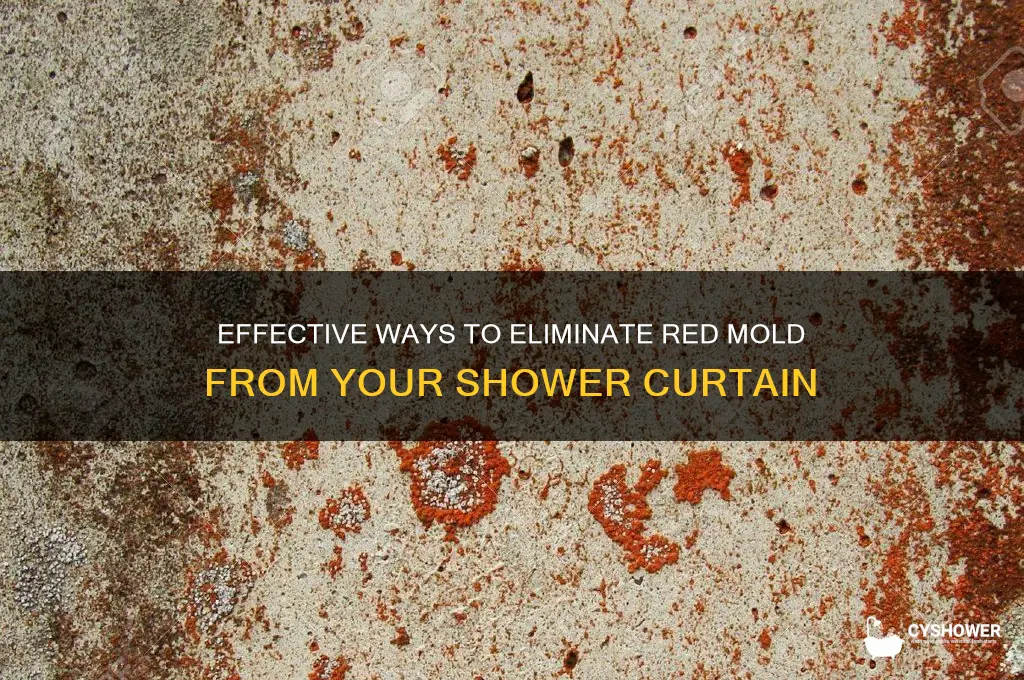 how to remove red mold from shower curtain
