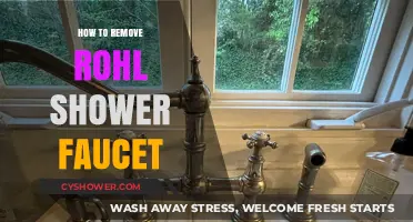 Easy Steps to Remove Your Rohl Shower Faucet Like a Pro