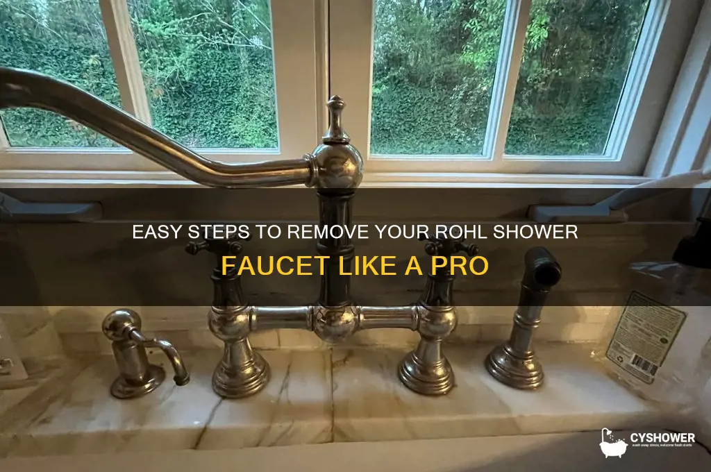 how to remove rohl shower faucet