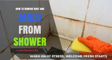 Effective Shower Cleaning: Remove Rust and Mold with These Simple Tips
