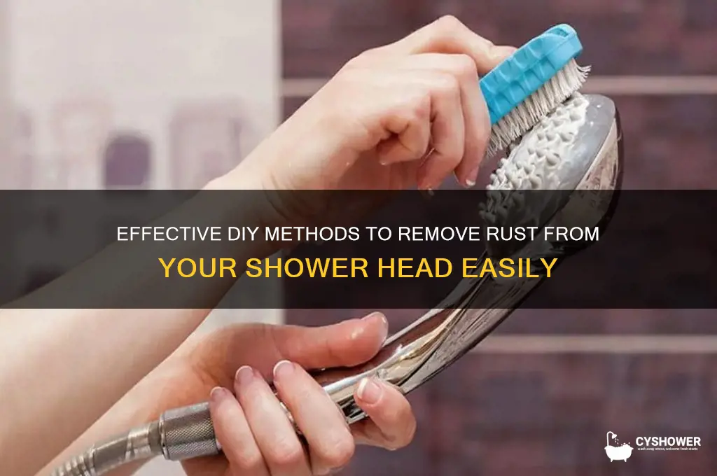 how to remove rust from shower head