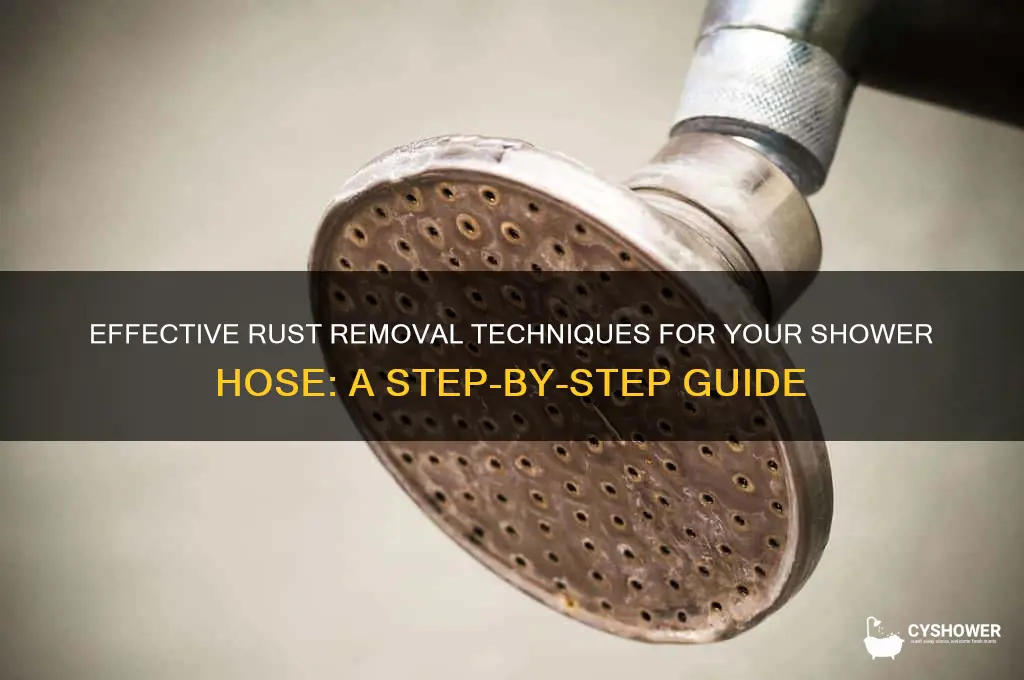 how to remove rust from shower hose