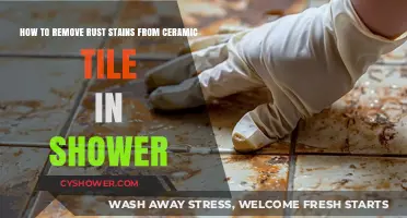 Effective Ways to Remove Rust Stains from Shower Ceramic Tiles