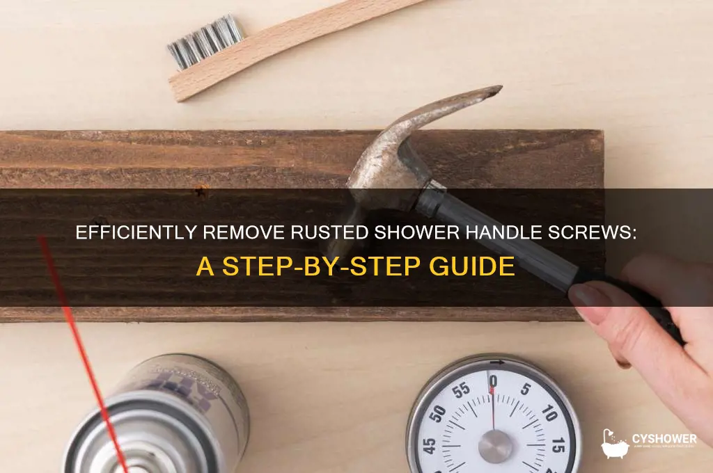how to remove rusted on screws shower handle