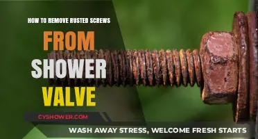 Effective Techniques to Remove Rusted Screws from Shower Valves