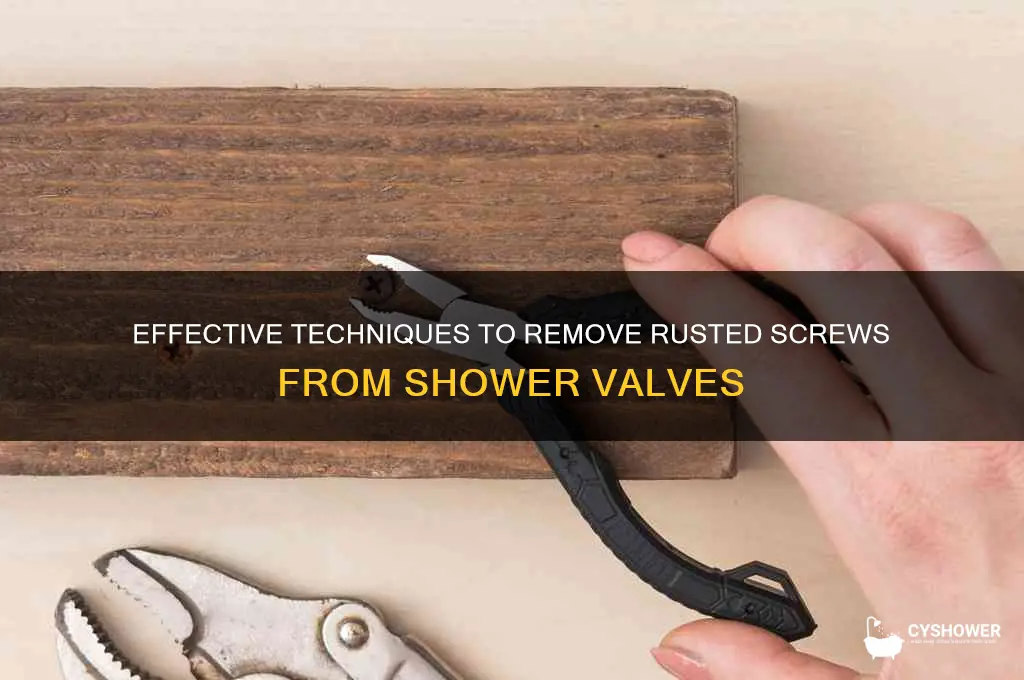 how to remove rusted screws from shower valve
