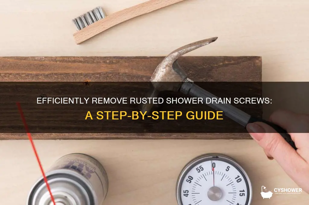 how to remove rusted shower drain screws