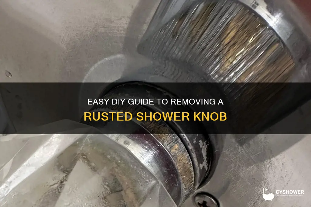 how to remove rusted shower knob