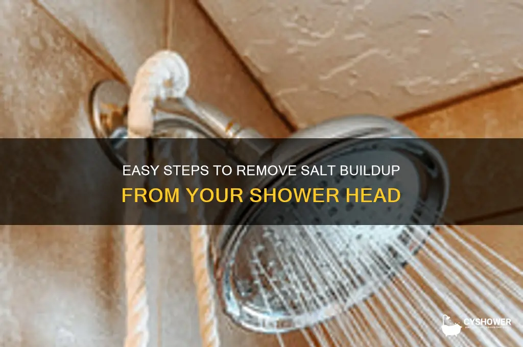 how to remove salt from shower head