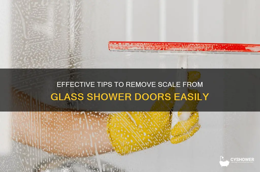 how to remove scale from glass shower door