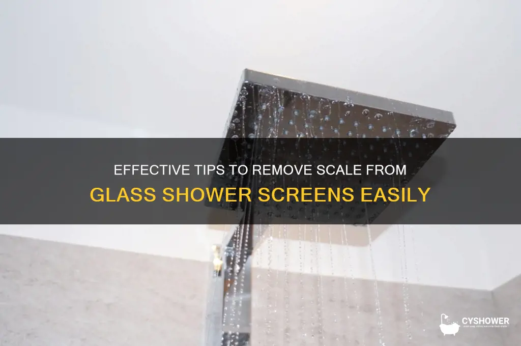 how to remove scale from glass shower screen