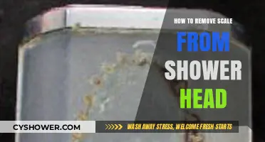 Effective Ways to Remove Scale Buildup from Your Shower Head