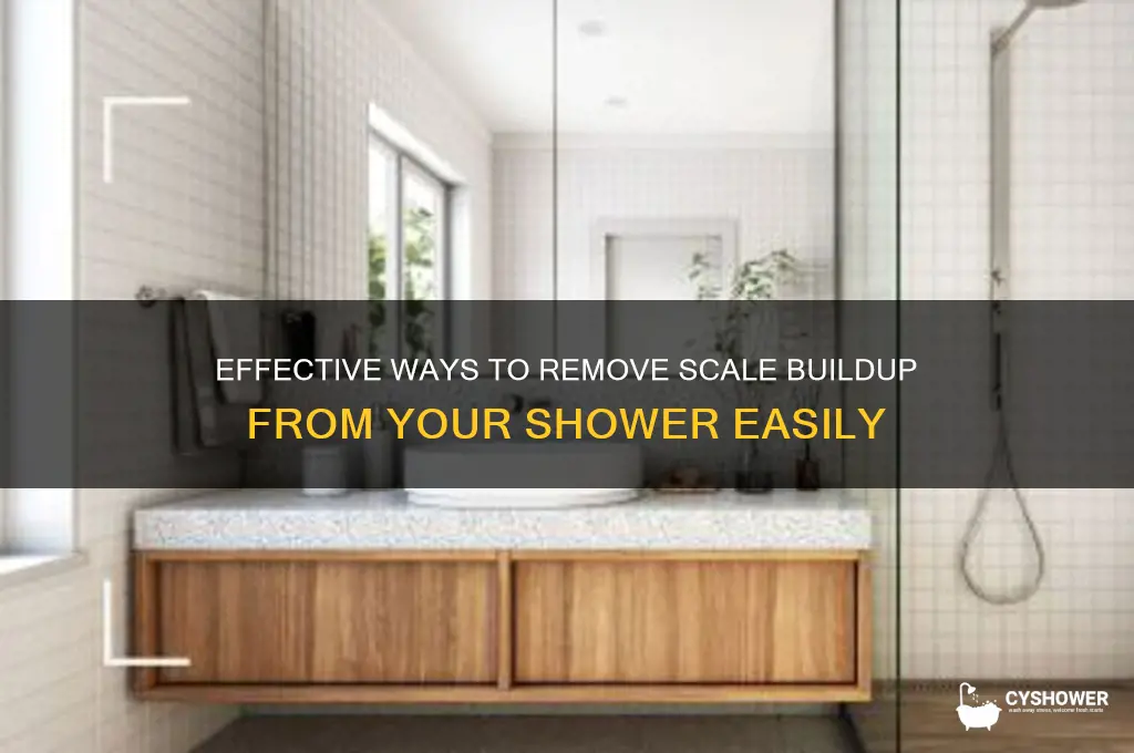 how to remove scale from shower