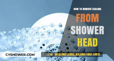 Effective Tips to Remove Scaling from Your Shower Head Easily