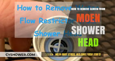 Easy Steps to Remove Screen from Moen Shower Head