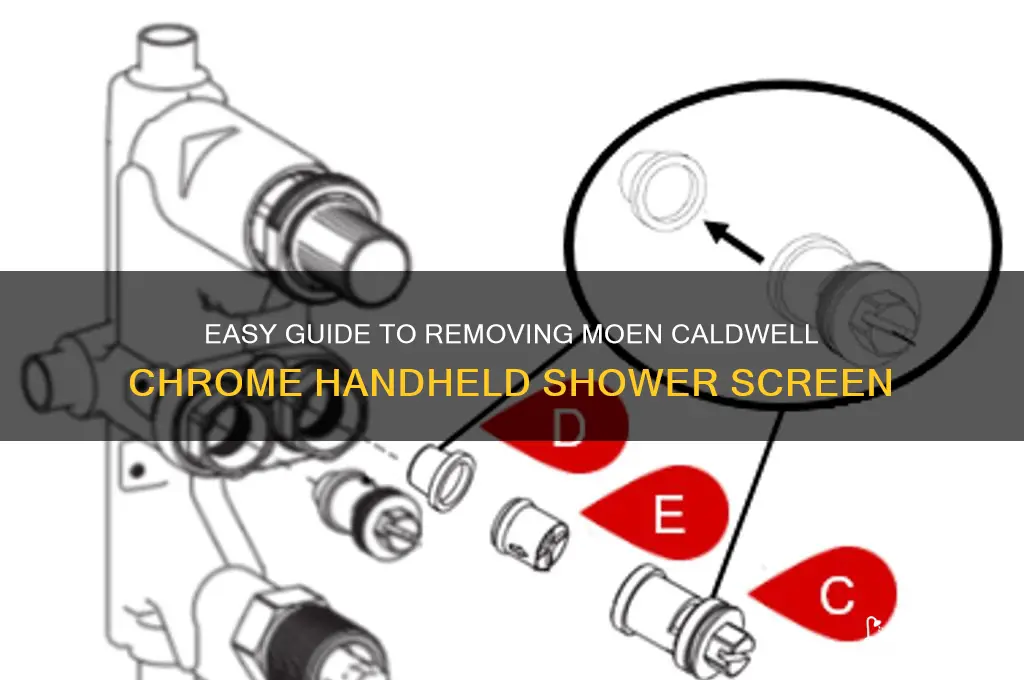 how to remove screen in moen caldwell chrome handheld shower