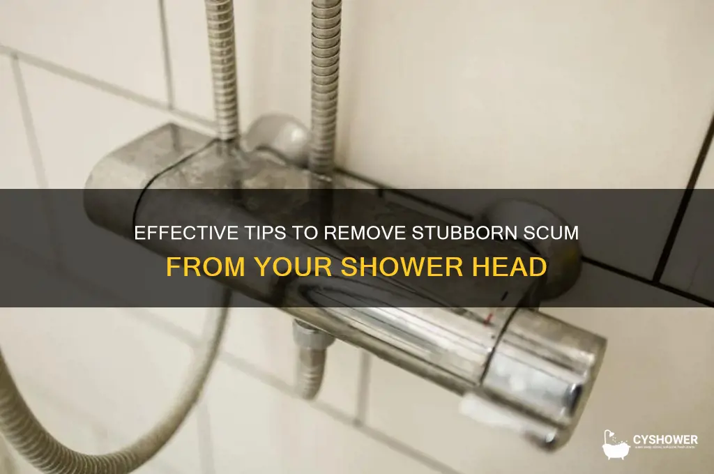 how to remove scum from shower head