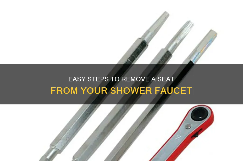 how to remove seat from shower faucet