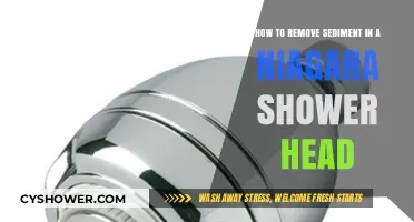 Effective Ways to Remove Sediment from Your Niagara Shower Head