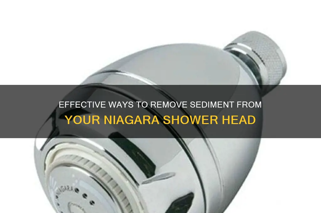 how to remove sediment in a niagara shower head