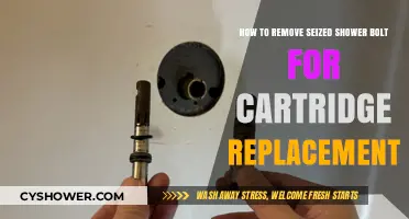 Efficiently Remove Seized Shower Bolts for Cartridge Replacement: A Guide