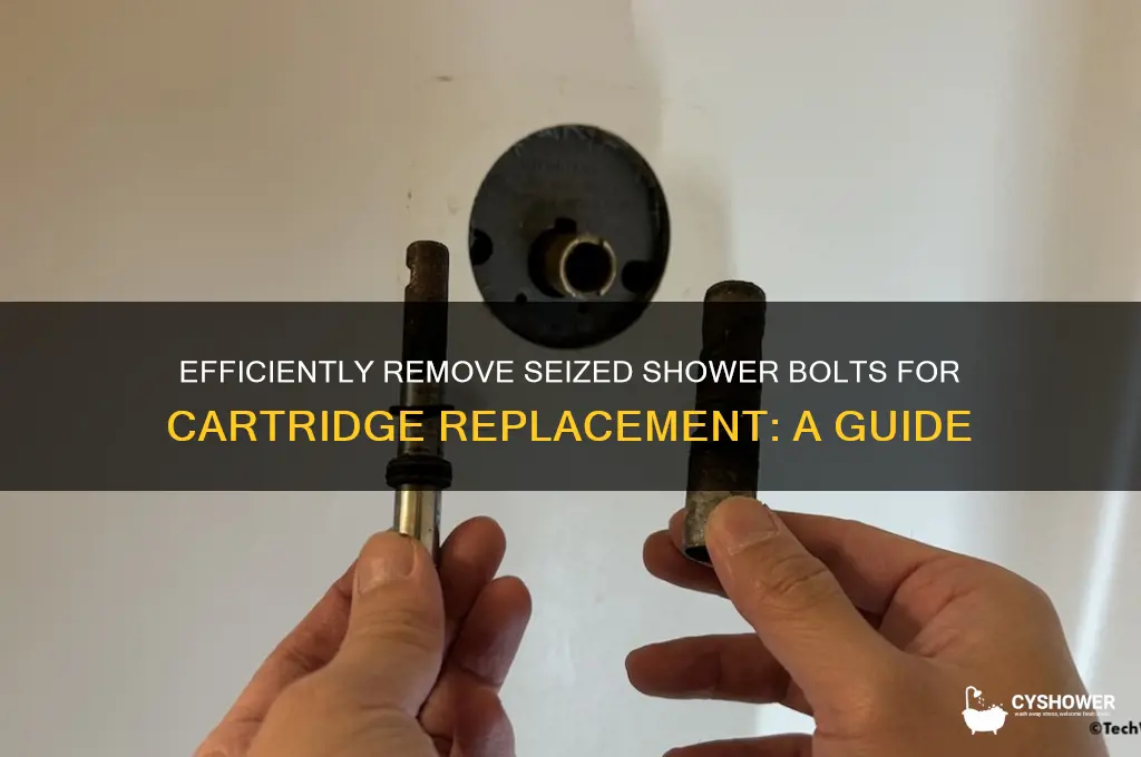 how to remove seized shower bolt for cartridge replacement