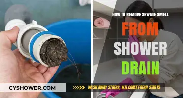 Eliminate Shower Drain Sewage Odor: Quick Fixes and Prevention Tips