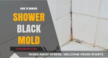 Effective Ways to Eliminate Shower Black Mold for Good