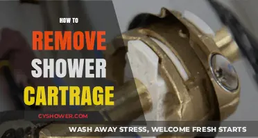 Easy Steps to Remove and Replace Your Shower Cartridge
