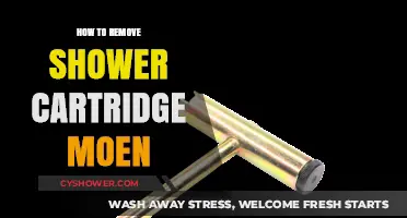 Easy Steps to Remove a Moen Shower Cartridge: DIY Guide