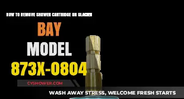 Easy Steps to Remove Glacier Bay 873x-0804 Shower Cartridge