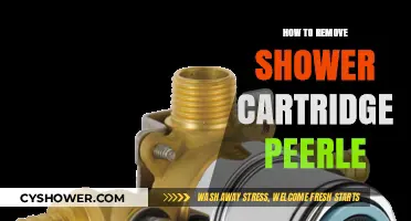 Easy Steps to Remove a Peerless Shower Cartridge Like a Pro