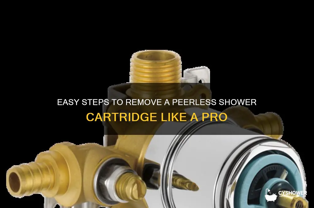 how to remove shower cartridge peerle