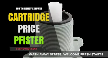 Easy DIY Guide: Removing a Price Pfister Shower Cartridge