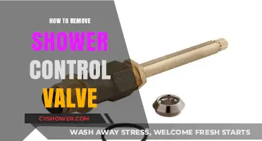 Easy Steps to Remove and Replace Your Shower Control Valve