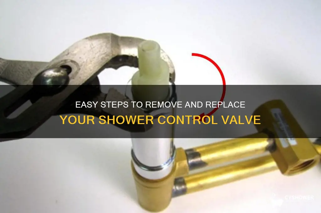 how to remove shower control