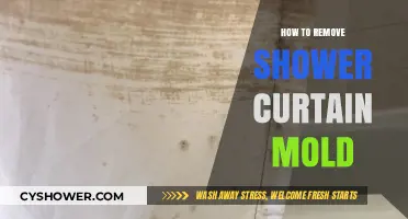 Effective Tips to Eliminate Mold from Your Shower Curtain