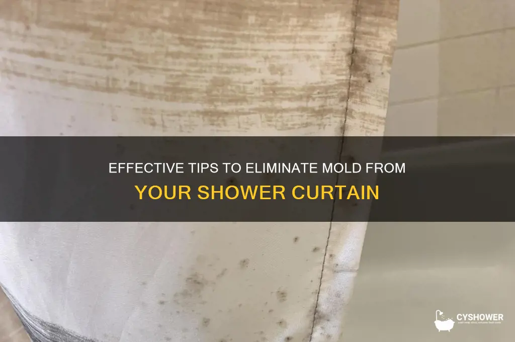 how to remove shower curtain mold