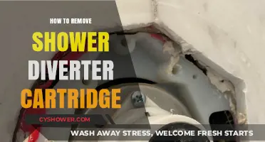 Easy Steps to Remove a Shower Diverter Cartridge