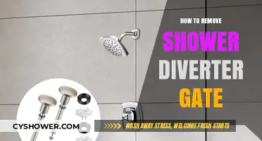 Easy Steps to Remove and Replace Your Shower Diverter Gate