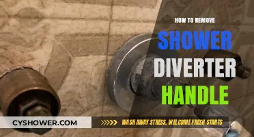 Easy Steps to Remove a Shower Diverter Handle