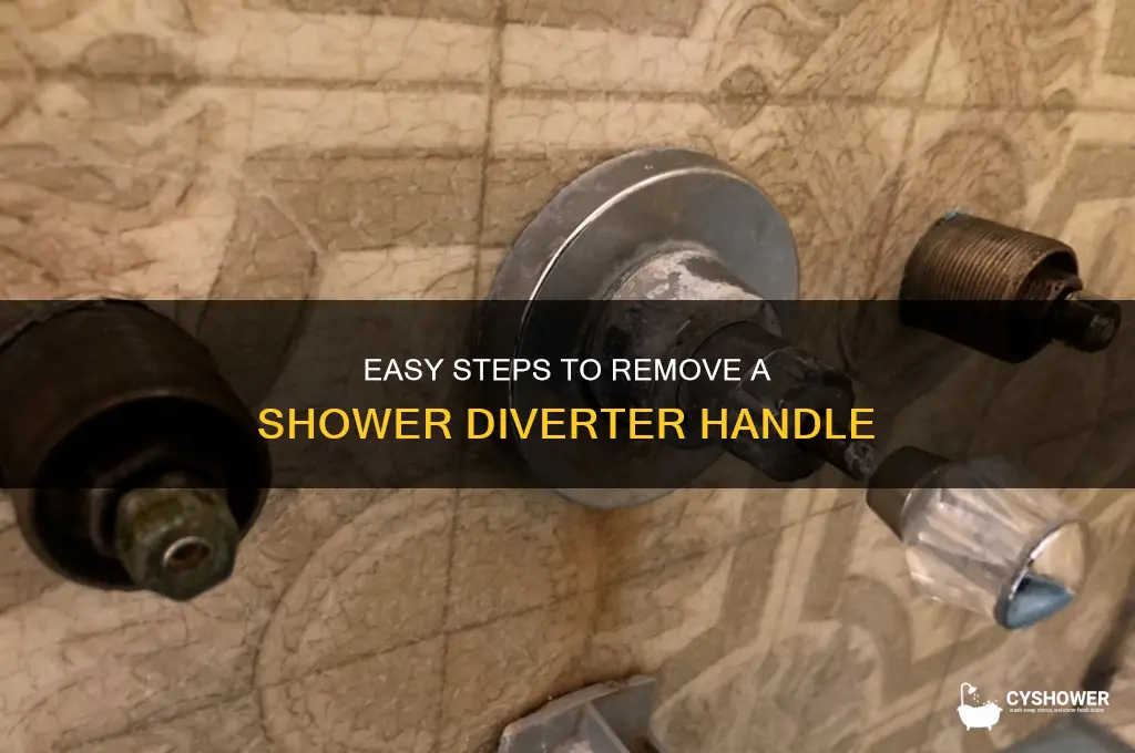 how to remove shower diverter handle