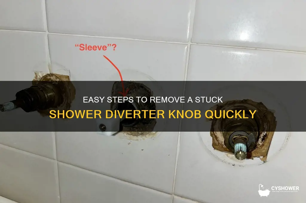 how to remove shower diverter knob