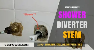 Easy Steps to Remove a Shower Diverter Stem Yourself