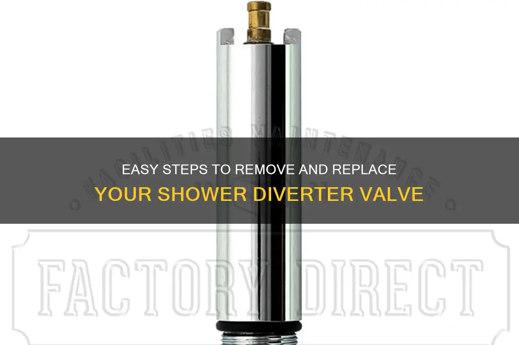 how to remove shower diverter